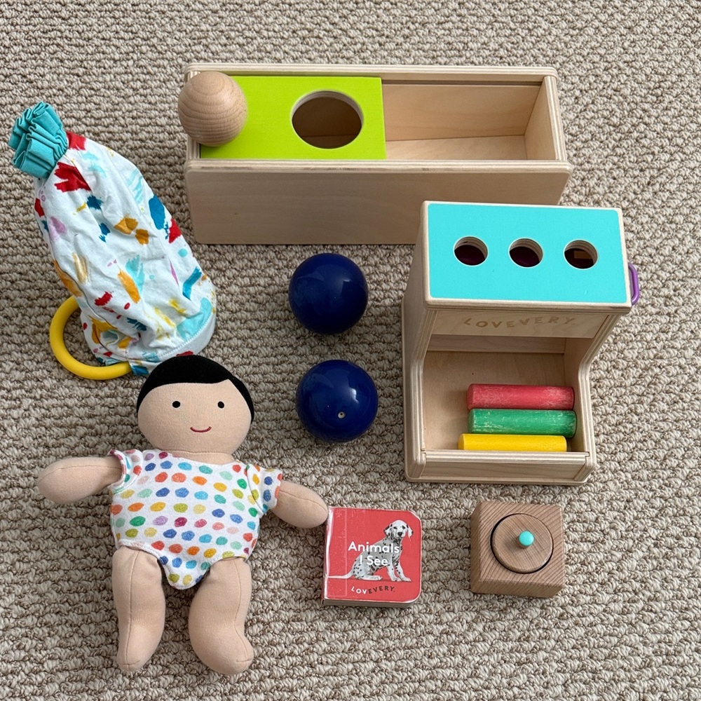 Lovevery The Thinker Play Set 11-12 months